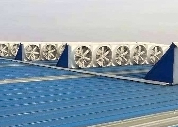 風(fēng)富案例